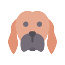 perro icon