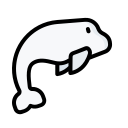 beluga icon