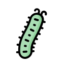 pepino icon