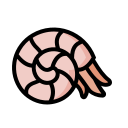 nautilo icon