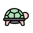 tortuga icon