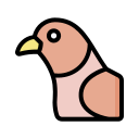 pájaro icon