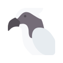 pájaro icon