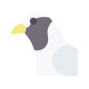 pájaro icon