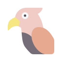 pájaro