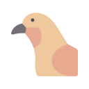 pájaro