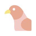 pájaro icon