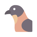 pájaro icon