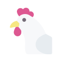 pollo icon