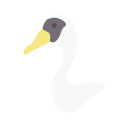 cisne icon