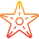 estrella icon