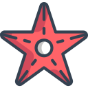 estrella icon