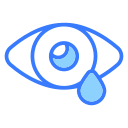 Eye 