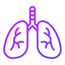 pulmones