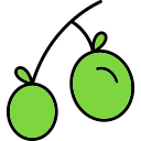 aceitunas icon