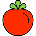 tomate icon