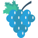 uvas icon