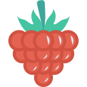 uvas icon