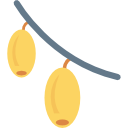 mango icon