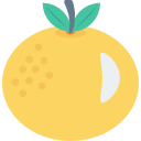 naranja icon