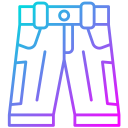 Shorts icon