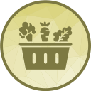 vegetales icon