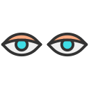 ojos icon