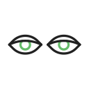 ojos icon