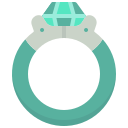 anillo icon