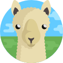 llama 