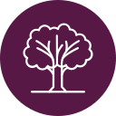 Árbol icon