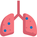 pulmones icon