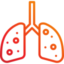 pulmones