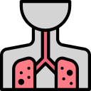 pulmones icon