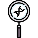 lupa icon