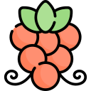 uvas icon