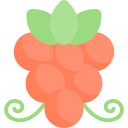 uvas icon