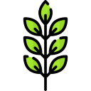 aceituna icon