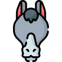 burro icon