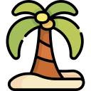 palmera