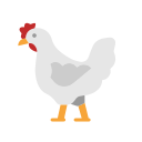 pollo icon