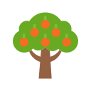 Árbol de frutas icon