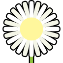 Daisy 