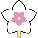 Hoya 
