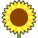 girasol 