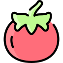 tomate icon