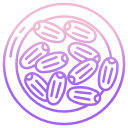 fruto de la palma icon