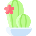 cactus icon