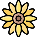 girasol icon