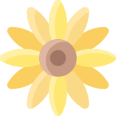 girasol icon